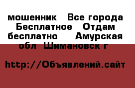 мошенник - Все города Бесплатное » Отдам бесплатно   . Амурская обл.,Шимановск г.